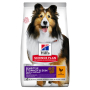 Купить SP Canine Adult Sensitive Stomach & Skin Medium Сухой корм с курицей для взрослых собак средних пород с чувствительным пищеварением