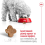 Кипити Mini Adult 8+ - сухий корм для зрілих собак малих порід (від 8 років)