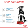 Кипити Maxi Puppy - сухий корм для цуценят великих порід (від 2 місяців)