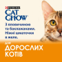 Купить Adult С говядиной и баклажанами в желе для кошек