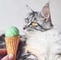 Кипити Blue Ice Cream Ball - Інтерактивний м'яч для котів, блакитний