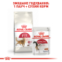 Кипити Fit 32 - сухий корм для котів, що мають доступ на вулицю (від 12 місяців)