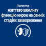Кипити PD Canine K/D Early Stage Сухий корм для собак для підтримання функції нирок на ранній стадії захворювання