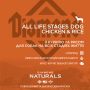 Кипити Naturals All Life Stages Dog Chicken&Rice - Сухий корм для собак усіх порід, з куркою