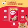 Купить Влажный корм для кошек с курицей в нежном соусе