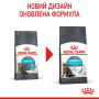 Купить Urinary Care - сухой корм для поддержания здоровья мочевыделительной системы у кошек (от 12 месяцев)