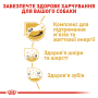 Кипити Jack Russell Terrier Adult - сухий корм для дорослих собак породи джек-рассел-тер'єр (від 10 місяців)