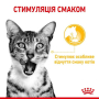 Купить Sensory Taste in Jelly Влажный корм для взрослых кошек (кусочки в желе) для стимуляции особого чувства вкуса