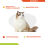 Купить Dolvit Biotin Cat – витаминно-минеральная добавка для поддержания здорового вида кожи и шерсти
