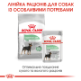 Купить Digestive Care Mini - сухой корм для взрослых собак малых пород с чувствительным пищеварением (от 10 месяцев)