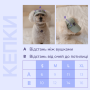 Купить Duo Кепка из вельвета для собак, крем