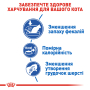 Купить Indoor 27 - сухой корм для кошек живущих в помещении (от 12 месяцев)