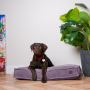 Кипити Memory Foam Pink Лежак для собак