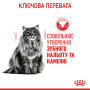 Кипити Dental Care Сухий корм для запобігання зубного нальоту у котів