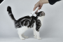 Купить Pet Trimmer Pro 2 in 1 Машинка для стрижки животных