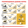 Купить Bengal Adult - сухой корм для котов породы бенгальская (от 12 месяцев)