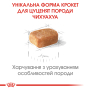 Купить Chihuahua Puppy - сухой корм для щенков породы чихуахуа (до 8 месяцев)