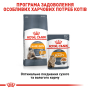 Купить Intense Beauty Care wet in jelly