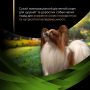 Купить Veterinary Diets HA St/Ox Hypoallergenic SMALL & MINI Сухой диетический корм для снижения признаков ингредиентной и нутриентной непереносимости у щенков и взрослых собак малых пород