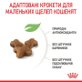 Купить Kitten - сухой корм для котят на каждый день (до 12 месяцев)