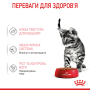 Кипити Kitten Sterilised wet in gravy Вологий корм для стерилізованих кошенят у віці від 6 до 12 місяців