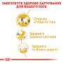 Купить Siamese Adult - сухой корм для кошек породы сиамская (от 12 месяцев)