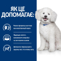 Кипити PD Canine K/D Early Stage Сухий корм для собак для підтримання функції нирок на ранній стадії захворювання