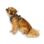 Кипити Smart ID Sport Harness Matrix 2.0 Stone Шлея для собак