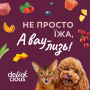 Купить Полоски с уткой и тыквой в крем-супе