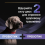 Купить FortiFlora Plus Пробиотик с пребиотиком для взрослых собак и щенков