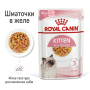 Купить Kitten Jelly - влажный корм в желе для котят на каждый день (до 12 месяцев)
