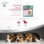 Купить Excel Multi Vitamin Puppy Мультивитаминный комплекс для щенков