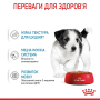 Купить X-small Puppy in gravy Влажный корм для собак миниатюрных размеров