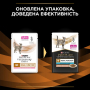 Купить Veterinary Diets NF Renal Function Advance Care Кусочки в подливке с лососем для кошек