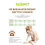 Купить Ботинки для собак малых пород, демисезонные, водонепроницаемые, зеленые