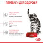 Кипити Kitten Sterilised - сухий корм для стерилізованих кошенят (від 6 до 12 місяців)