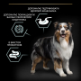 Купить Dog Adult Medium Sensitive Digestion Lamb Сухой корм с ягненком для взрослых собак средних пород с чувствительным пищеварением