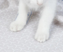 Кипити High Performance Cat Litter Pad ULTRA Змінна підкладка для наповнювача