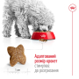 Кипити Mini Adult - сухий корм для дорослих собак дрібних розмірів (від 10 місяців)