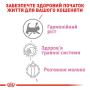 Кипити Babycat Milk - повноцінний замінник молока для кошенят