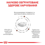 Кипити Gastrointestinal Low Fat - лікувальний сухий корм для дорослих собак при порушеннях травлення (від 12 місяців)