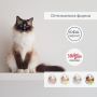 Купить Migliorgatto Sterilized Беззерновые консервы для стерилизованных кошек мусс с кроликом