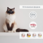 Купить Migliorgatto Sterilized Беззерновые консервы для стерилизованных кошек мусс с курицей и прошутто