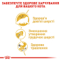 Купить Persian Adult - сухой корм для котов породы персидская (от 12 месяцев)