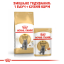 Купить British Shorthair Adult - влажный корм в соусе для кошек британская короткошерстная (от 12 месяцев)