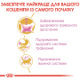 Купить Maine Coon Kitten - сухой корм для котят породы мейн-кун (до 15 месяцев)