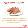 Кипити Pomeranian Adult - вологий корм для собак породи шпіц