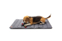 Купить Travel roll up mat Gray Ковер для прогулок