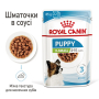 Купить X-small Puppy in gravy Влажный корм для собак миниатюрных размеров