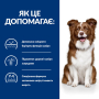 Купить PD Canine Derm Defense Chicken Диетический сухой корм с курицей для чувствительной кожи у взрослых собак